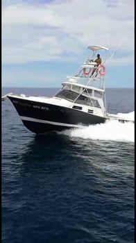 Boat photo for Playa Ocotal Offshore