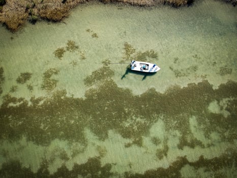 Boat photo for Sight Casting Safari