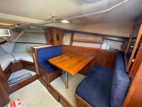 Boat photo for Offshore Tuna