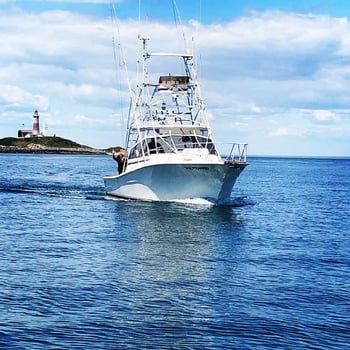 Boat photo for Offshore Tuna