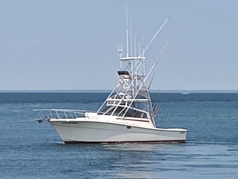 Boat photo for Extended Offshore Tuna