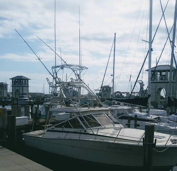 Boat photo for Orange Beach Deep Sea Adventure