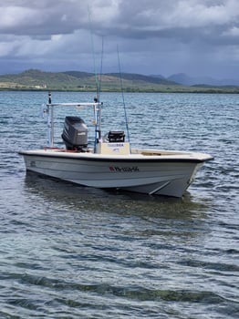 Boat photo for Puerto Rico Tarpon Special