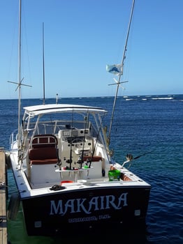 Boat photo for Offshore Puerto Rico