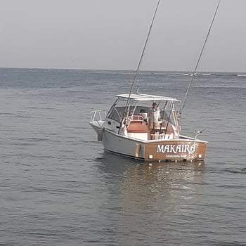 Boat photo for Offshore Puerto Rico