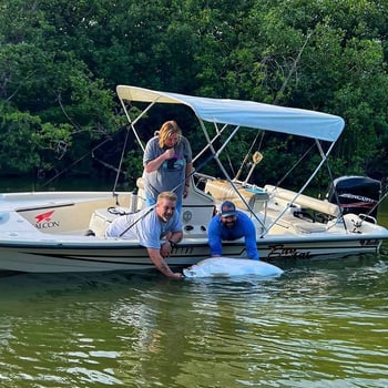 Boat photo for Half Day Reef Trip