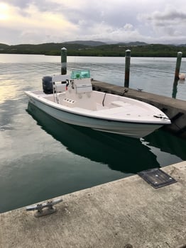 Boat photo for Puerto Rico Inshore Adventure