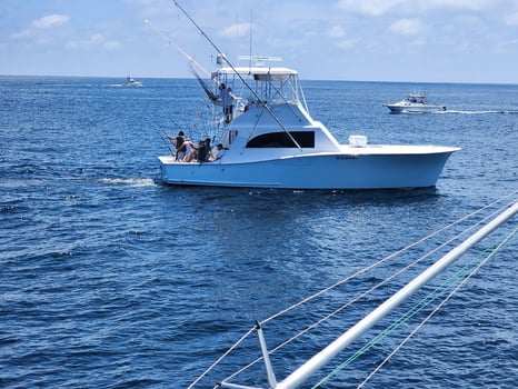 Boat photo for Virginia Beach Luxury Inshore