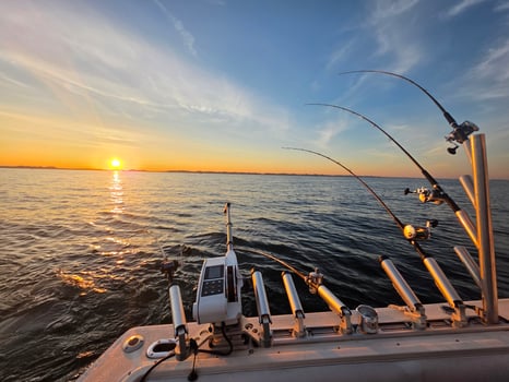Boat photo for Lake Michigan Trout & Salmon