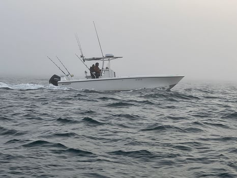 Boat photo for Plymouth Striped Bass Special