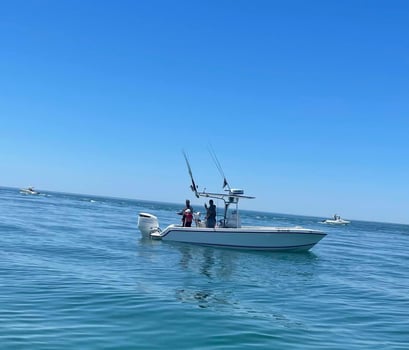 Boat photo for Cape Cod Inshore - 26' SeaVee