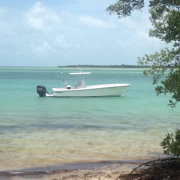 Boat photo for Inshore Port Isabel