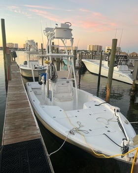 Boat photo for Inshore Gulf Fishing Frenzy