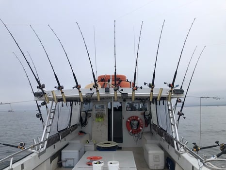 Boat photo for Annapolis Fishing Charters