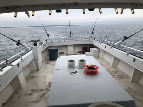 Boat photo for Annapolis Fishing Charters