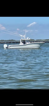 Boat photo for Nearshore Dauphin Island Adventure