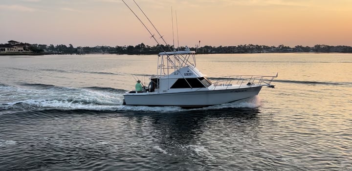 Boat photo for PCB Bottom Fishing Adventure