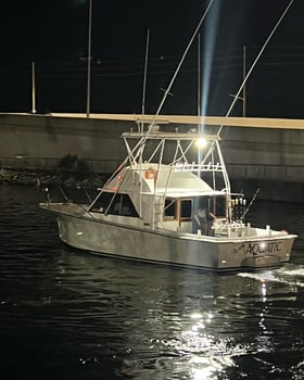 Boat photo for PCB Half Day Combo Trip