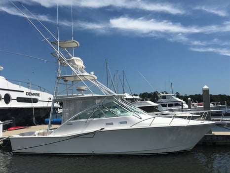Boat photo for Gulf Shores Adventure