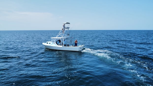 Boat photo for Orange Beach Snapper Slammer- 30'