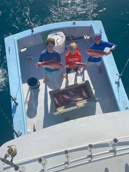 Boat photo for Orange Beach Snapper Slammer- 30'