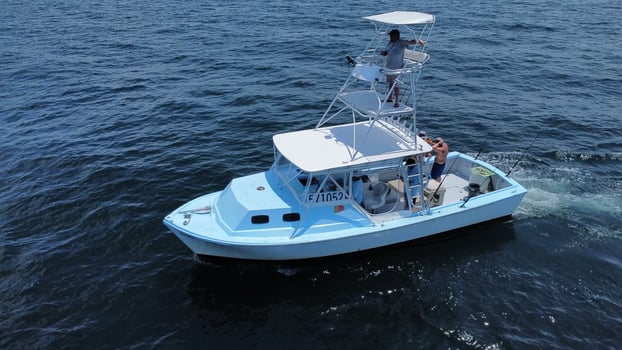 Boat photo for Orange Beach Snapper Slammer- 30'