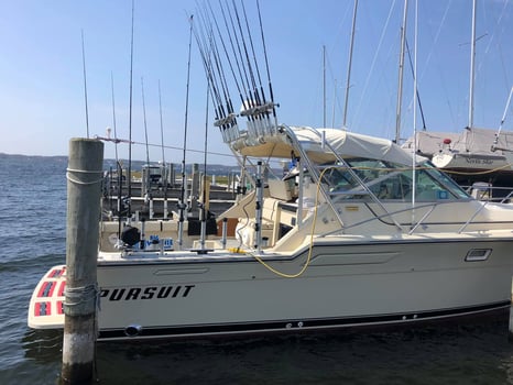 Boat photo for Muskegon Salmon Adventure