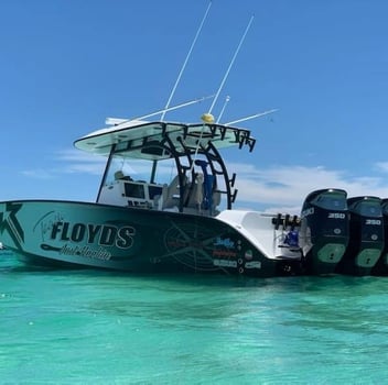 Boat photo for Orange Beach Bottomfishing Special