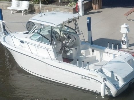Boat photo for Lake Erie Walleye Run