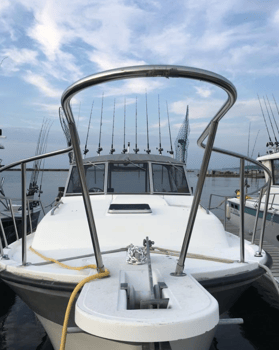 Boat photo for Lake Erie Catch-Em-Up Trip