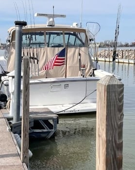 Boat photo for Walleye Trolling Morning (AM)