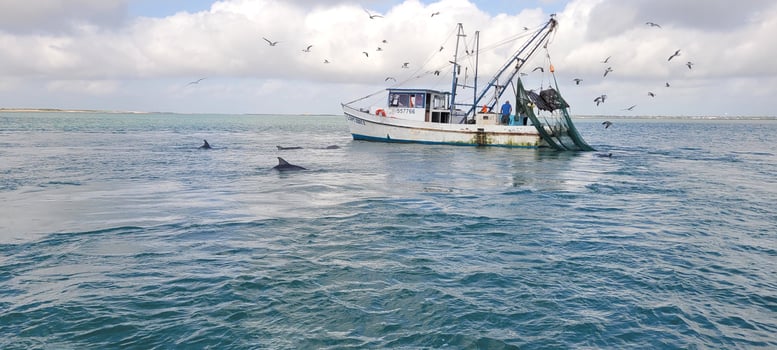 Boat photo for We Did All That In 3 Hours!?!?