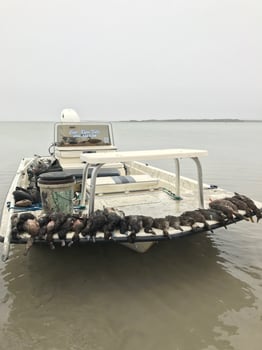 Boat photo for Mansfield Duck Assault