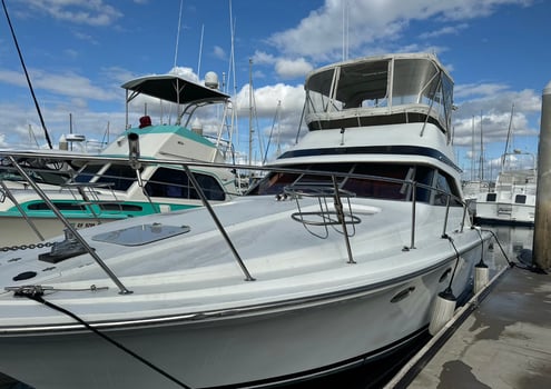 Boat photo for Full Day Local Offshore