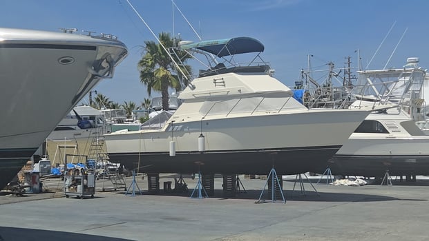Boat photo for 1/2 Day Trip