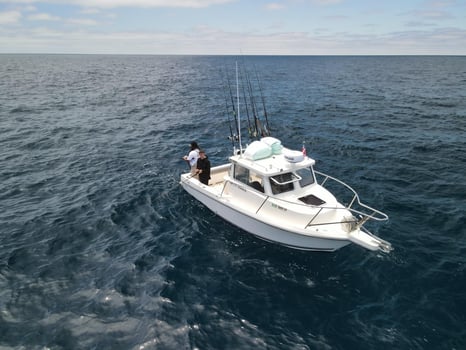 Boat photo for San Diego Coastal Waters