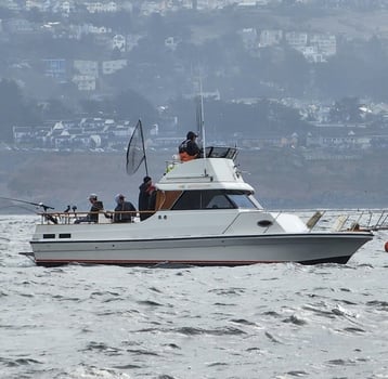 Boat photo for Marin Salmon Fishing