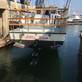 Boat photo for Striped Bass And Halibut Roundup