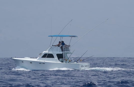 Boat photo for Kona Coast Big Game Fishing