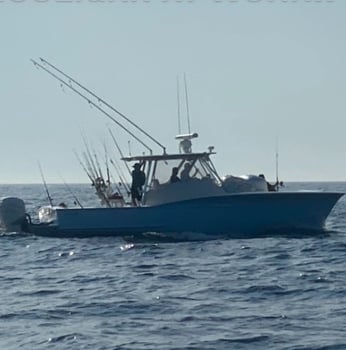 Boat photo for Islamorada Reefs & Wrecks