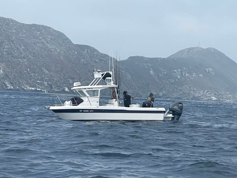 Boat photo for Inshore/Coastal (9 Hr.)