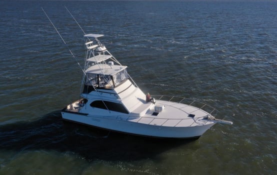 Boat photo for Full Day Reef Trip