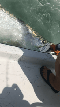 Boat photo for Lower Laguna Madre Adventure