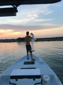 Boat photo for Lower Laguna Madre Adventure
