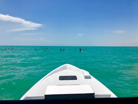 Boat photo for Lower Laguna Madre Adventure