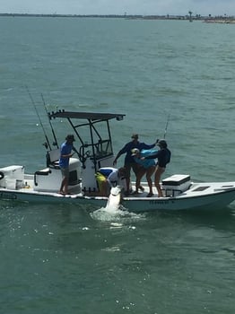 Boat photo for Lower Laguna Madre Adventure