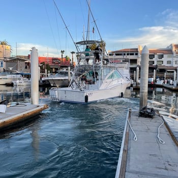 Boat photo for Deep Sea Cabo - 48' Riviera