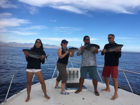 Boat photo for Golden Gate Banks - 60’ Bertram