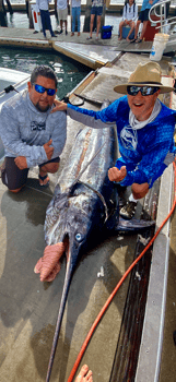 Boat photo for Golden Gate Banks - 60’ Bertram