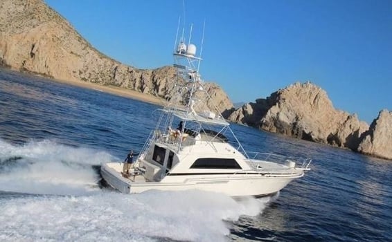 Boat photo for 13 Hr Finger Banks - 60’ Bertram